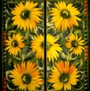 002 Sunflowers - 3 ply - CS